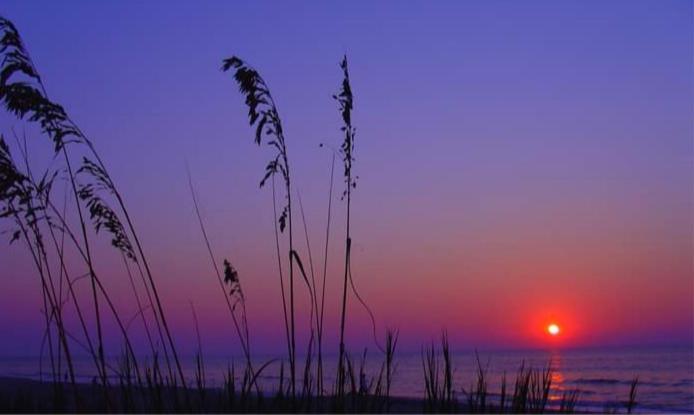 Lee'S Myrtle Beach Condo Buitenkant foto